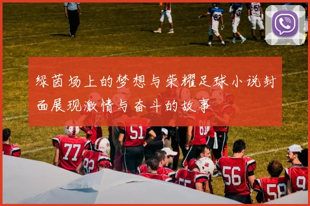 绿茵场上的梦想与荣耀足球小说封面展现激情与奋斗的故事