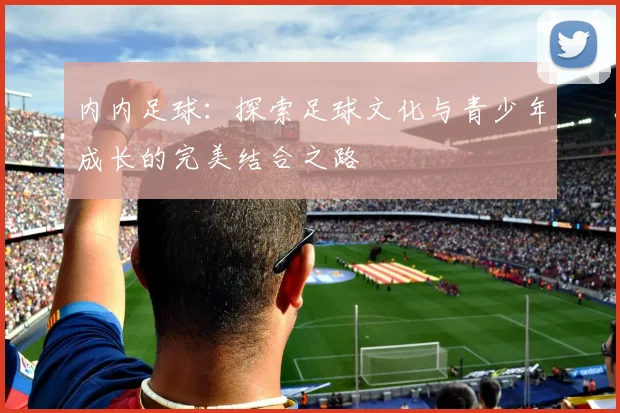 内内足球：探索足球文化与青少年成长的完美结合之路