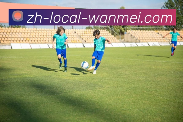 完美体育官网平台生态图